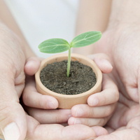 ������